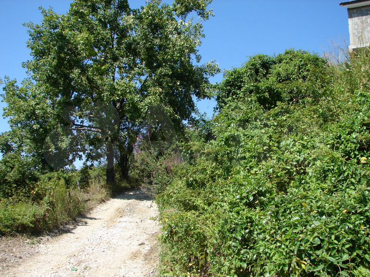 Участок 5,5 сот. (ИЖС)