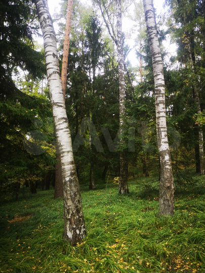 Участок 25 сот. (ИЖС)