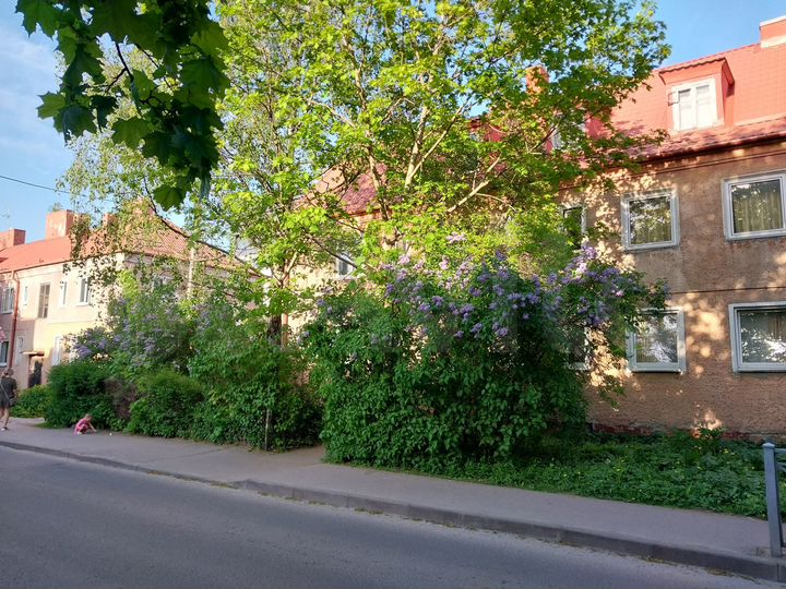 Комната 14,5 м² в 2-к., 1/2 эт.