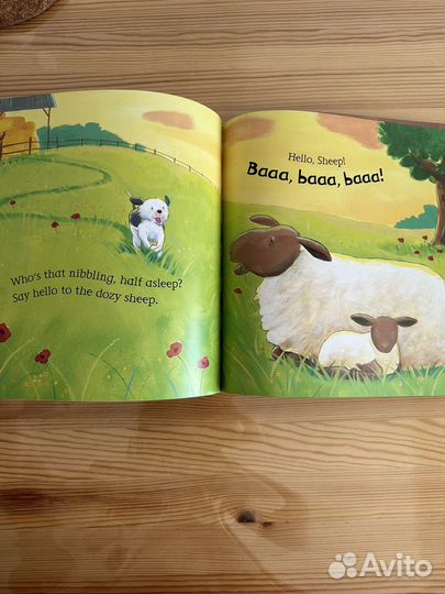 Say hello to the animals