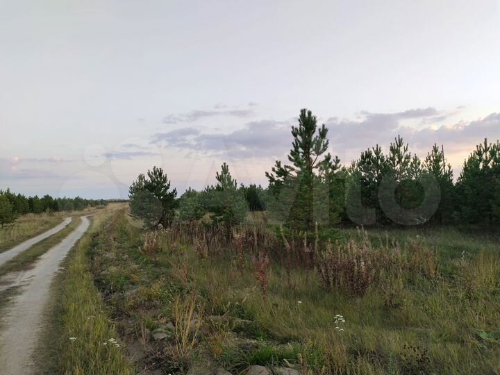 Участок 50 сот. (СНТ, ДНП)