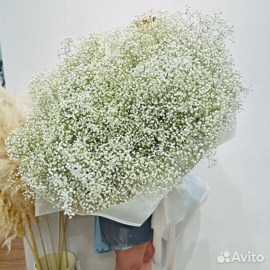 Элит букет 25 веток белоснежной гипсофилы