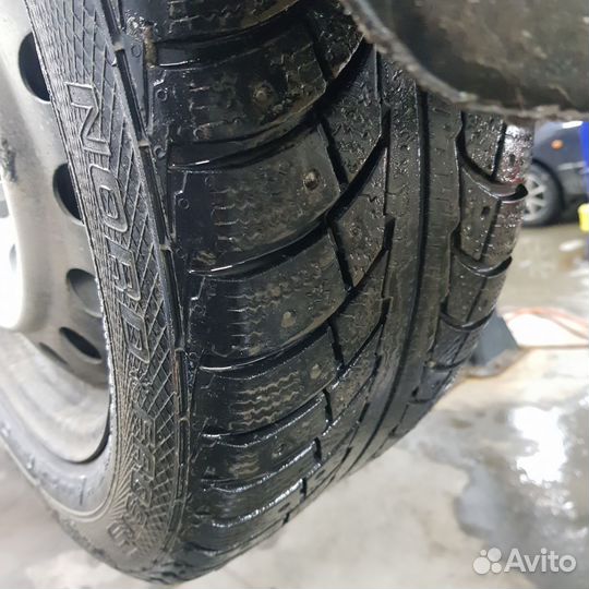 Gislaved Euro Frost 6 205/55 R16