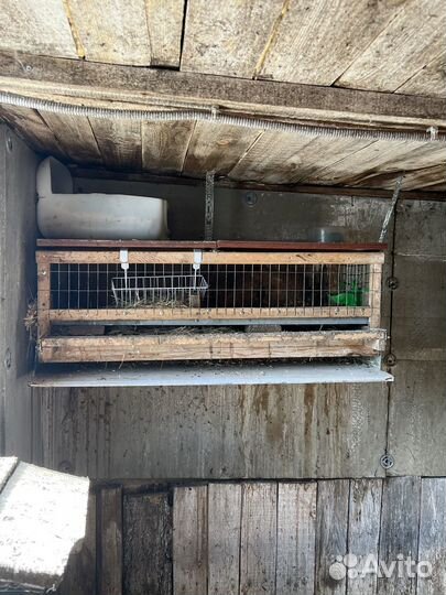 Клетка для перепелов