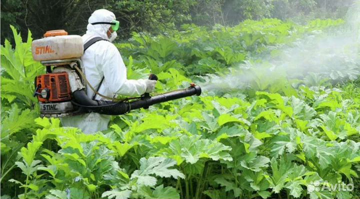 Дезинфекция клопов, тараканов,блох,клещ, трупный з