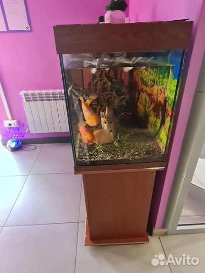 Аквариум с тумбой