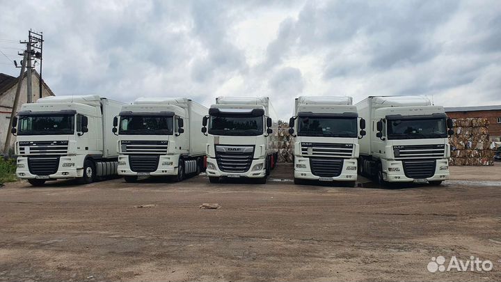 DAF XF 106.480, 2021