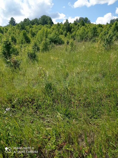 Участок 1,5 га (СНТ, ДНП)