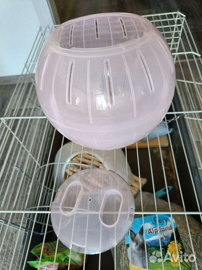 Прогулочный шар для грызунов