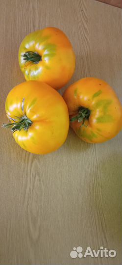 Помидоры