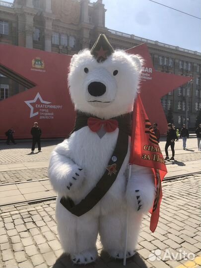 Белый Медведь «Палыч»