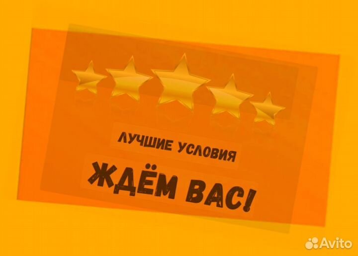 Маркировщик Еженедельный аванс М/Ж Спецодежда