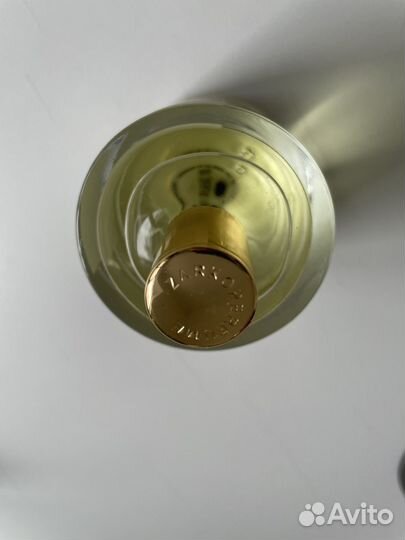 Zarkoperfume The Muse