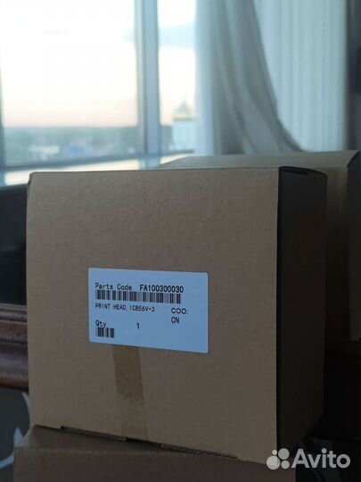 Epson print head FA10030