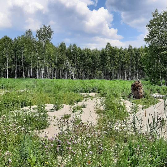 Участок 15 сот. (ИЖС)