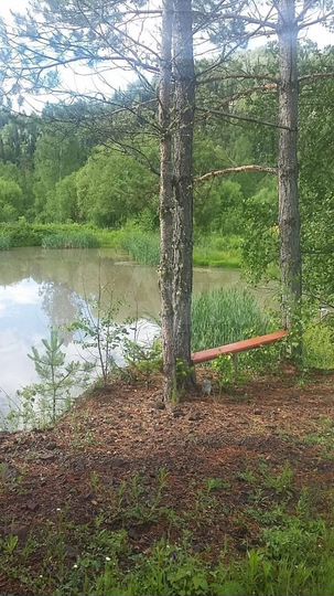 Участок 100 сот. (СНТ, ДНП)