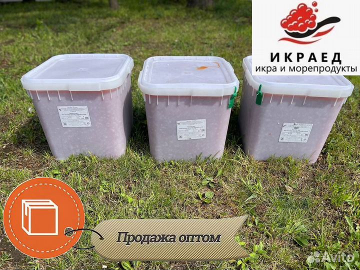 Икра Кеты оптом
