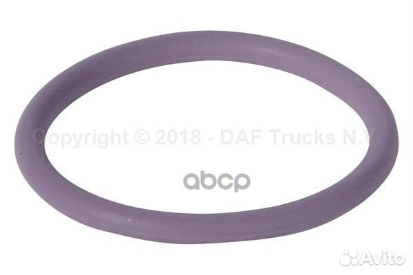 DAF1638270 кольцо уплотнительное форсунки (р)