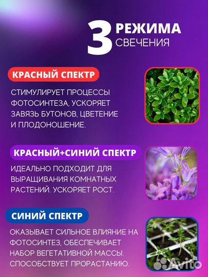 Фитолампа светодиодная на прищепке с таймером