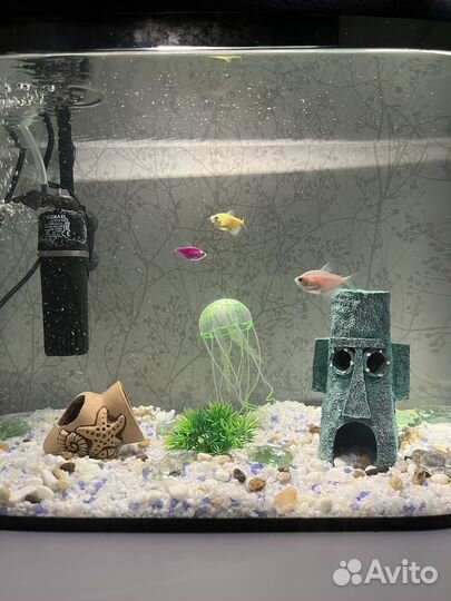 Аквариум