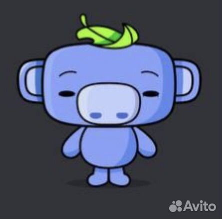 QR Discord Nitro 1-12 месяцев + 2 буста