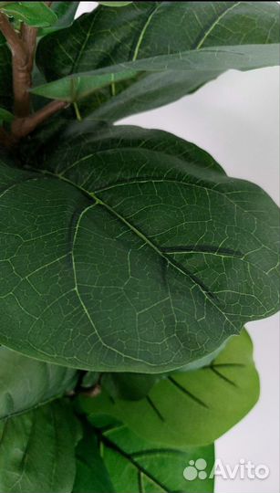 Искусственное дерево растение фикус