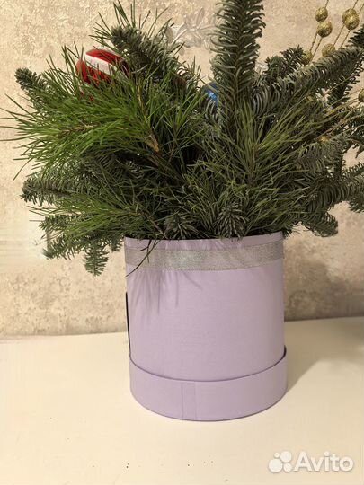 Новогодняя композиция из нобилиса