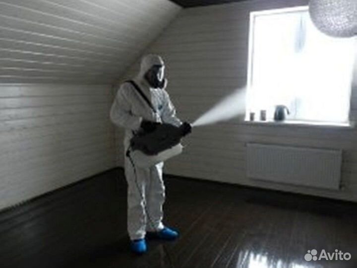 Уничтожение тараканов, клопов