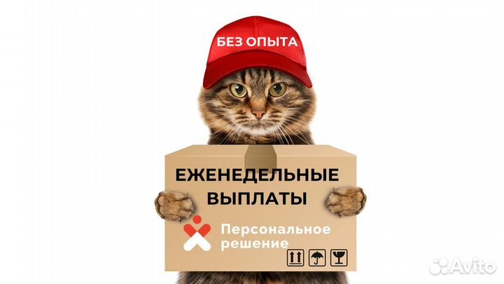 Разнорабочий 5/2. Подработка. Выплаты каждый день