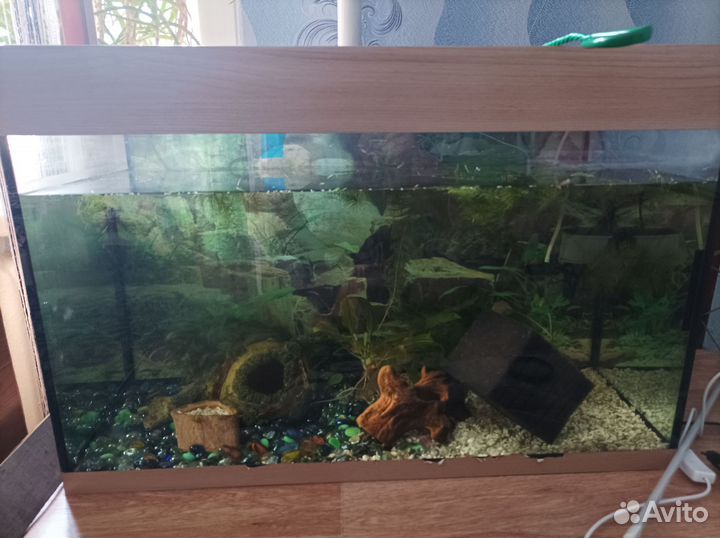 Аквариум
