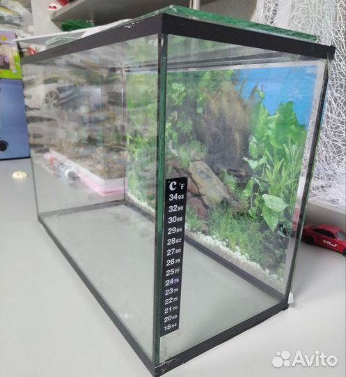 Аквариум