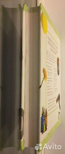 2005 практических советов. Лечение дома. Новая