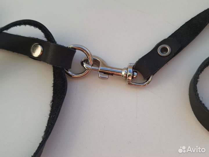 Шлейка для кошки