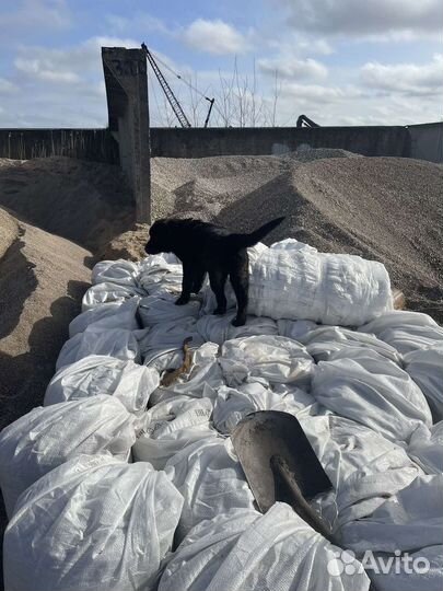 Чернозем для теплиц мешками
