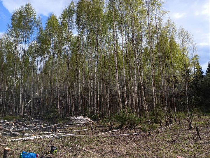 Участок 13 сот. (ИЖС)