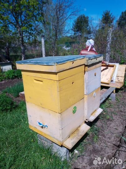 Улей для пчел