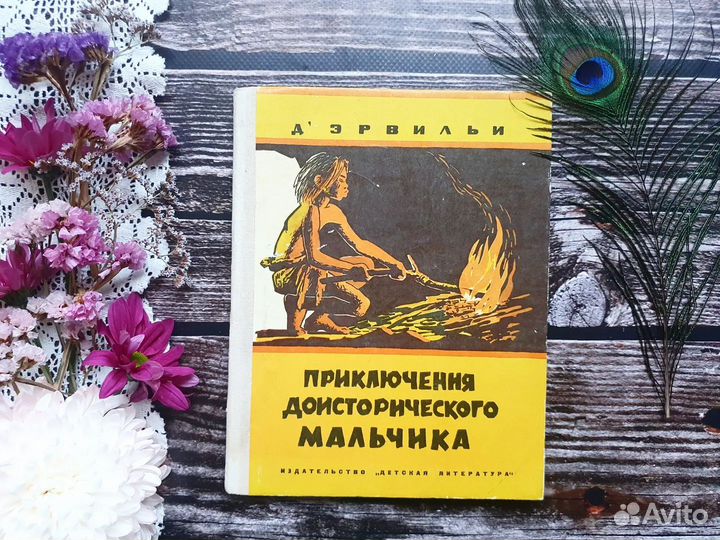 Д Эрвильи Э. Приключения доисторического мальчика