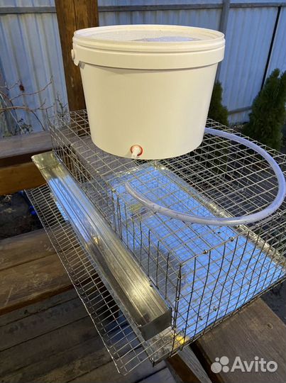 Клетки для перепелов