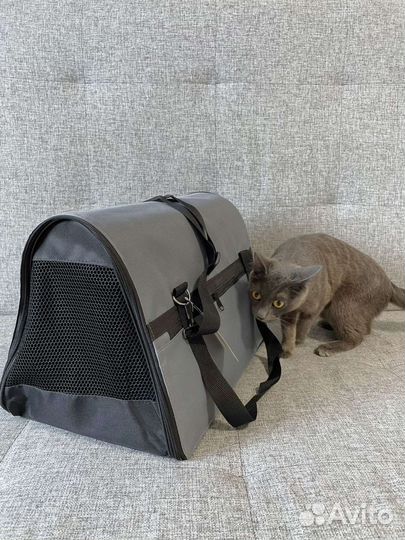 Переноска для животных новая