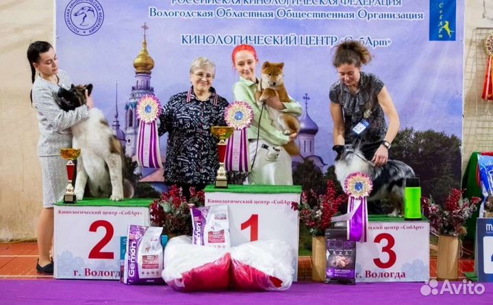 Услуги хендлера