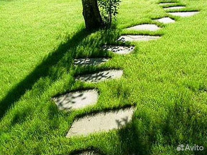 Сад, благоустройство