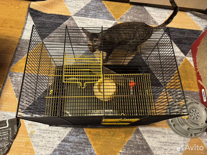 Клетка для грызунов
