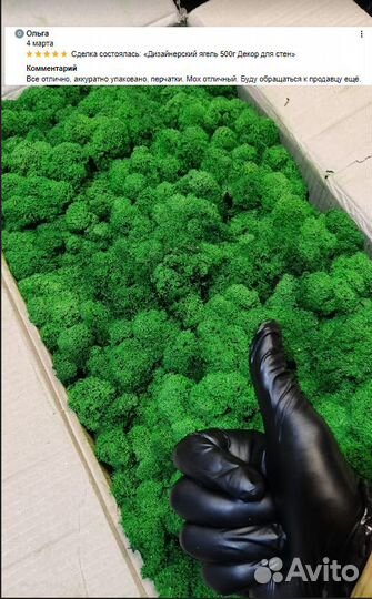 Стабилизированный мох для декора помещений интерье