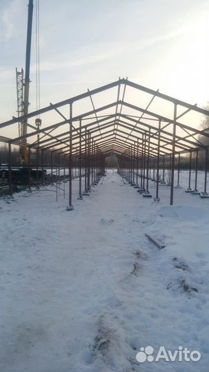 Реконструкция коровника, Строительство коровника