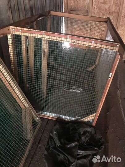 Клетки для птиц обмен