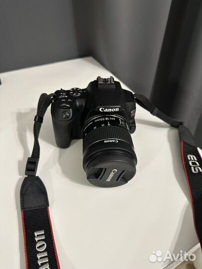 Зеркальный фотоаппарат canon 250d
