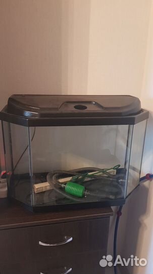 Аквариум