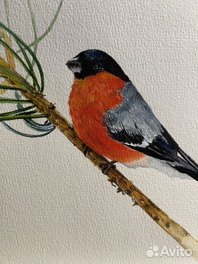 Картина акварелью «Снегирь»