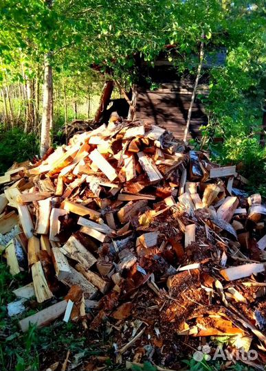 Дрова Береза привезем в Ленобласти любого объема