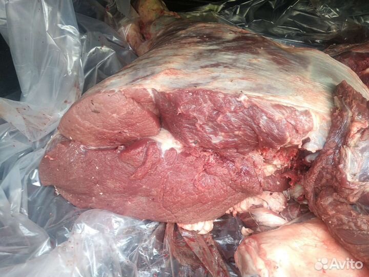 Мясо говядина